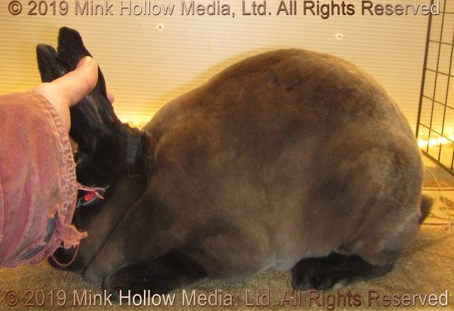 0-main.jpg 0-main.jpg