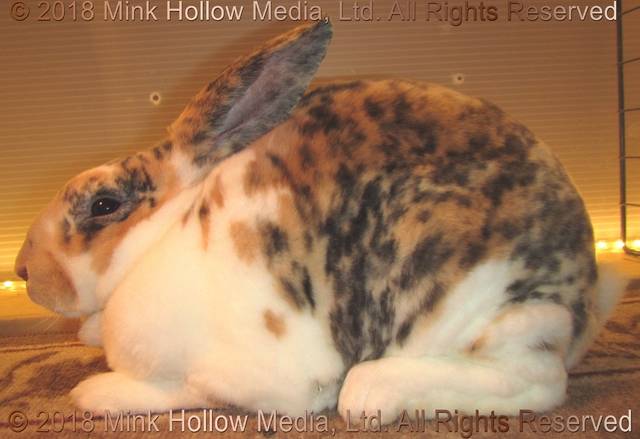 0-main.jpg 0-main.jpg