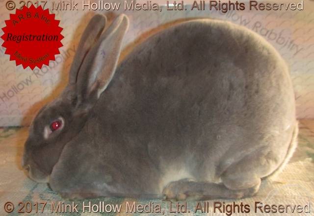 0-main.jpg 0-main.jpg