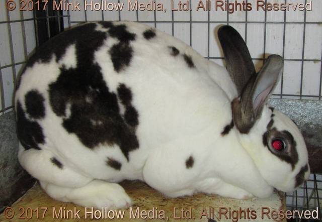 z-main.jpg z-main.jpg