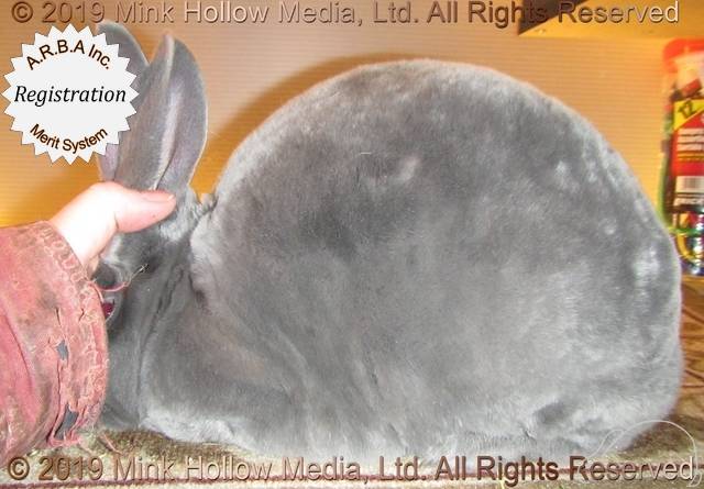 0-main.jpg 0-main.jpg