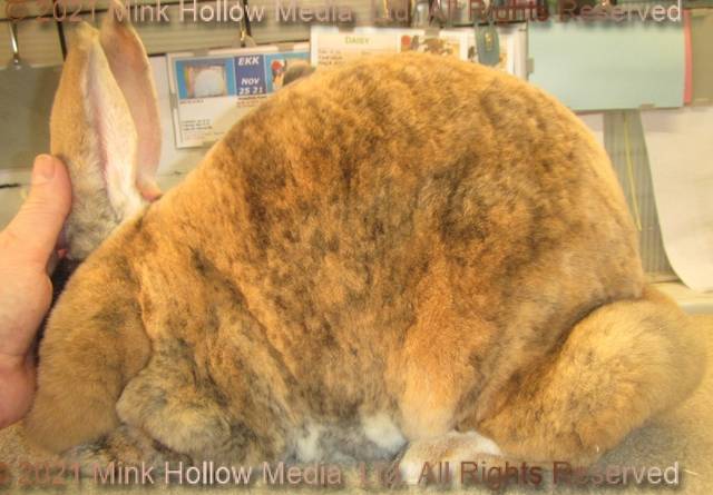 0-main.jpg 0-main.jpg