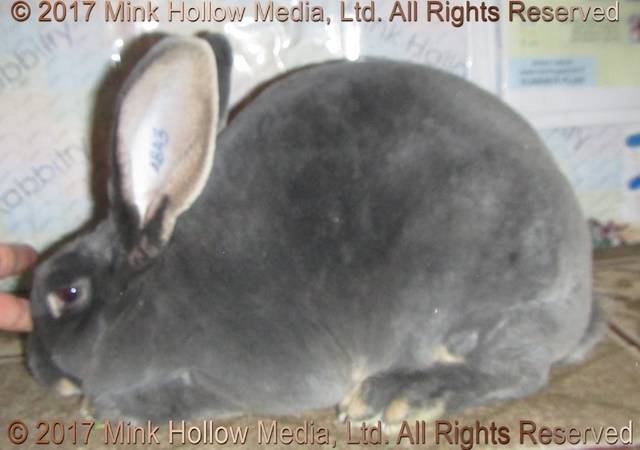 0-main.jpg 0-main.jpg