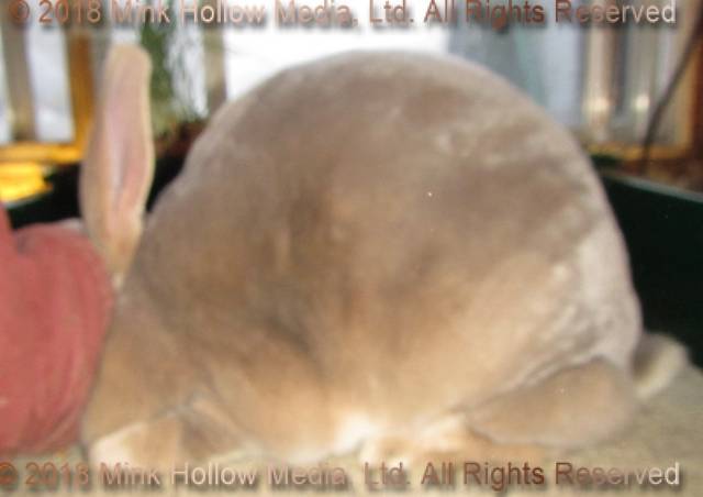 0-main.jpg 0-main.jpg