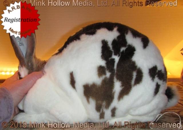 0-main.jpg 0-main.jpg