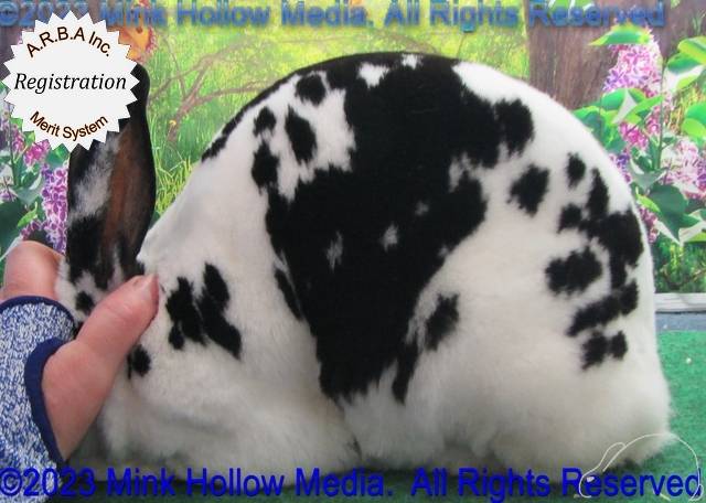 0-main.jpg 0-main.jpg