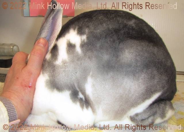 0-main.jpg 0-main.jpg