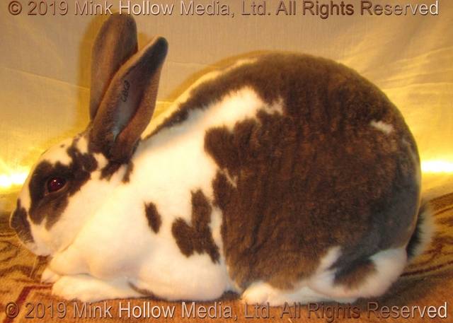 0-main.jpg 0-main.jpg