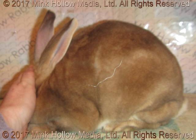 0-main.jpg 0-main.jpg