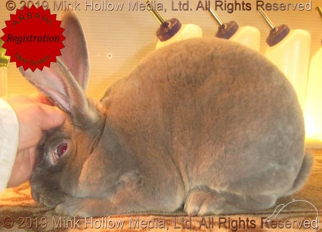 0-main.jpg 0-main.jpg