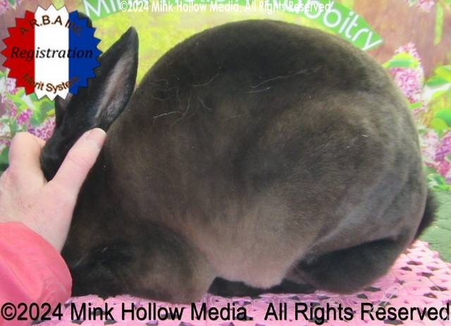 0-main.jpg 0-main.jpg