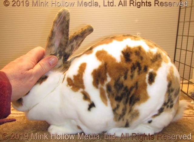 0-main.jpg 0-main.jpg