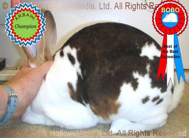 0-main.jpg 0-main.jpg