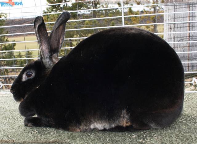 0-main_wm.jpg 0-main_wm.jpg