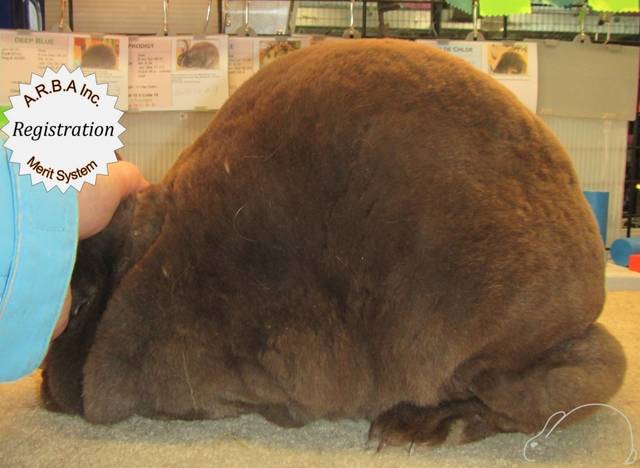 0-main.jpg 0-main.jpg