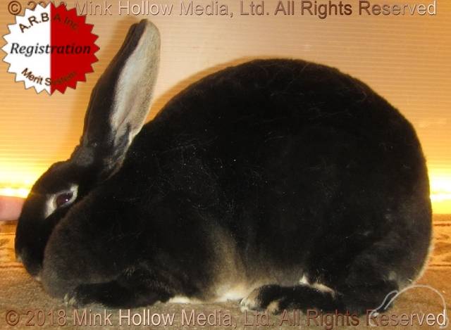 0-main.jpg 0-main.jpg