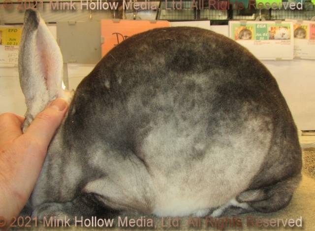 0-main.jpg 0-main.jpg