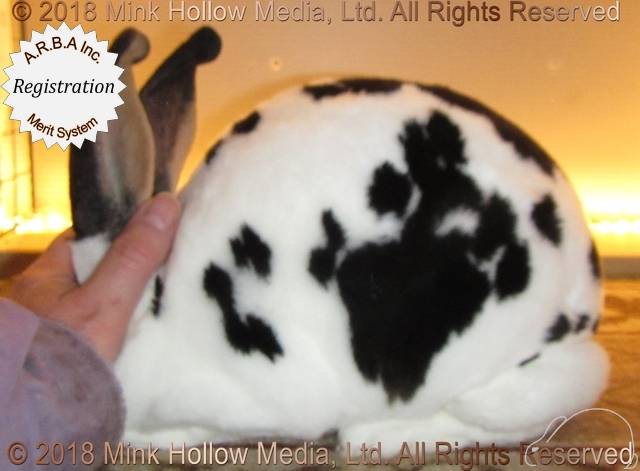 0-main.jpg 0-main.jpg