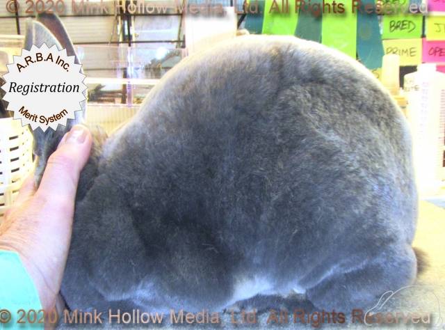 0-main.jpg 0-main.jpg