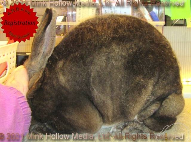 0-main.jpg 0-main.jpg