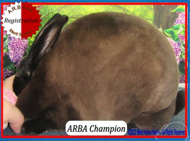 0-main.jpg 0-main.jpg