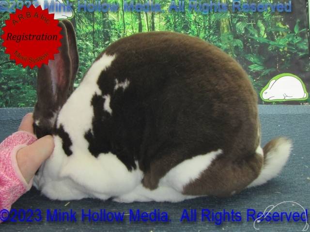 0-main.jpg 0-main.jpg