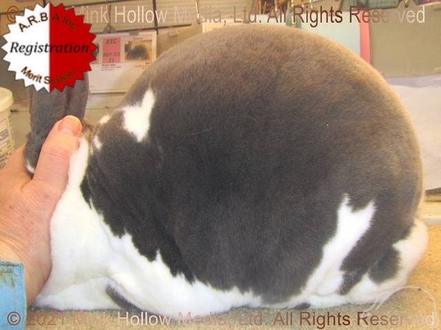 0-main.jpg 0-main.jpg