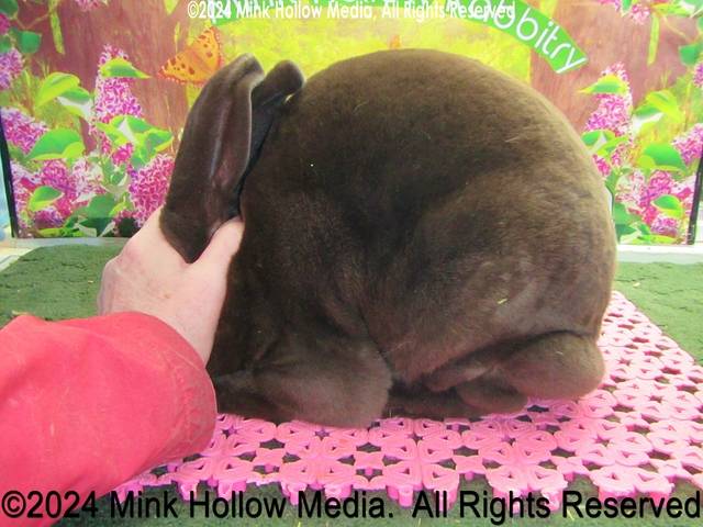 0-main.jpg 0-main.jpg