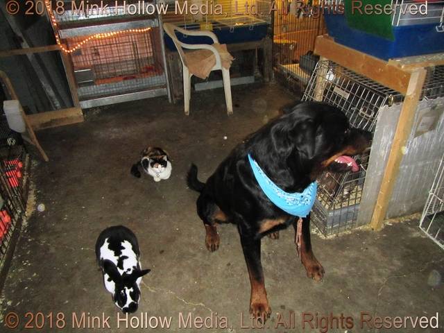 2017-09-03-18-00-55_wm.jpg 2017-09-03-18-00-55_wm.jpg