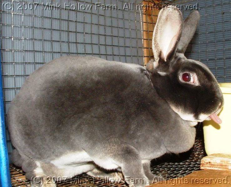 nano-06-12-01.jpg nano-06-12-01.jpg