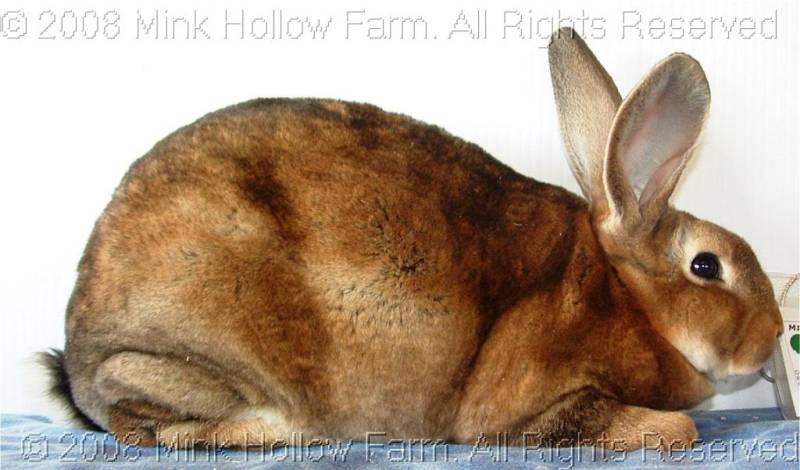 ph41-2008-10-19-021.jpg ph41-2008-10-19-021.jpg