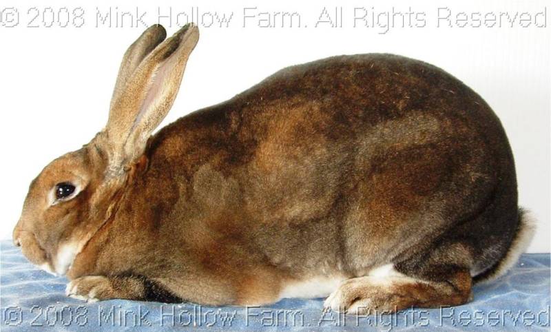 grant-2008-10-19-011.jpg grant-2008-10-19-011.jpg