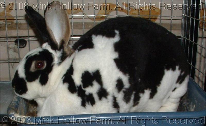 noodle-06-10_009.jpg noodle-06-10_009.jpg