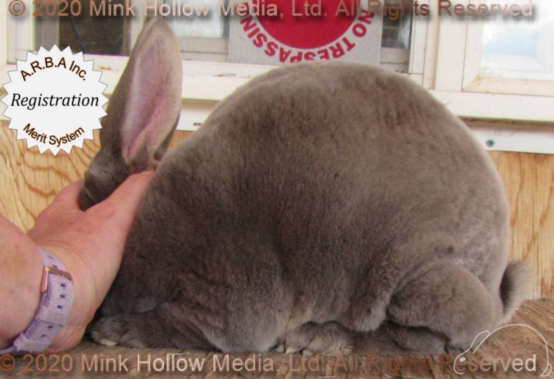 0-main.jpg 0-main.jpg