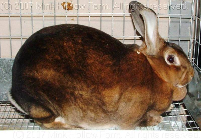 ook-06-10-01.jpg ook-06-10-01.jpg