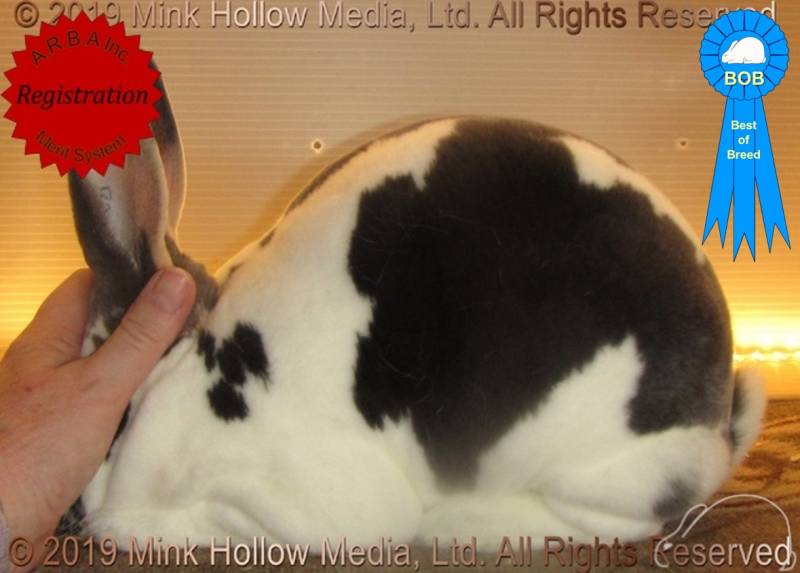 0-main.jpg 0-main.jpg