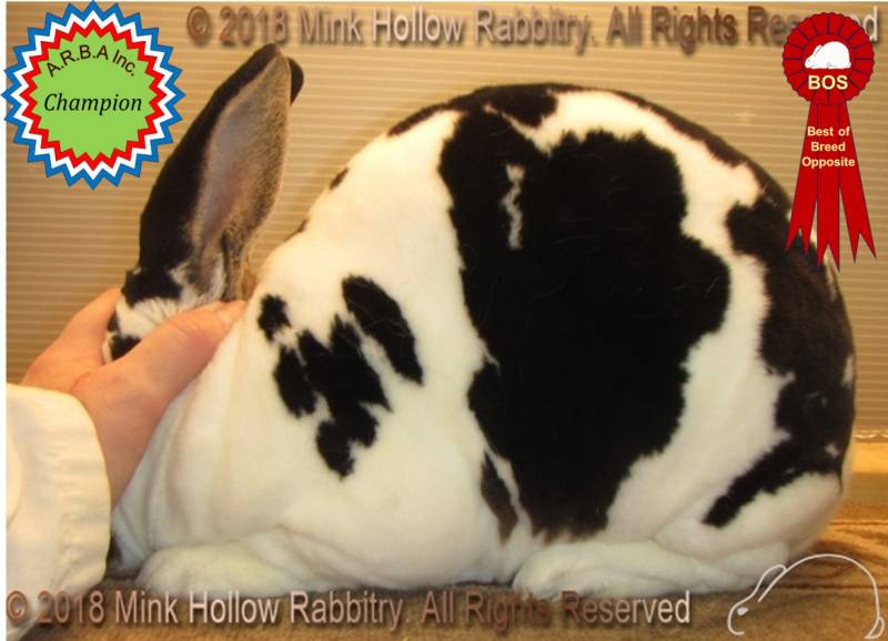 0-main.jpg 0-main.jpg