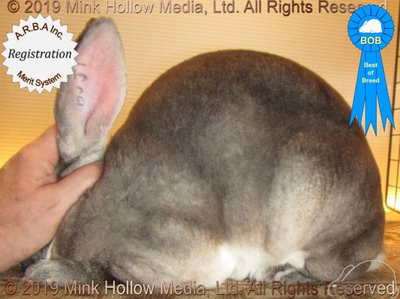 0-main.jpg 0-main.jpg