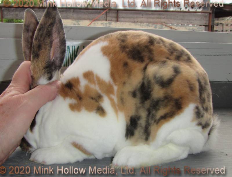 0-main.jpg 0-main.jpg