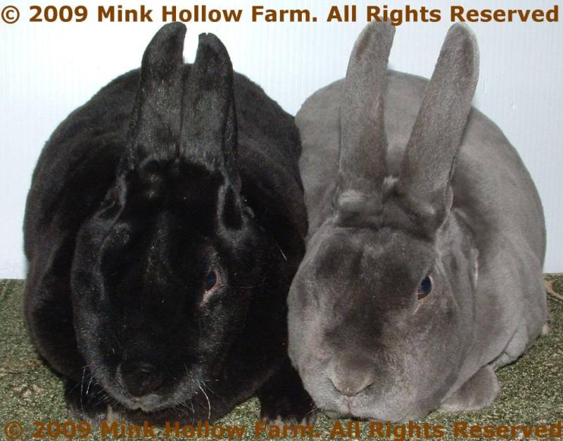 2009-02-22-034.jpg 2009-02-22-034.jpg