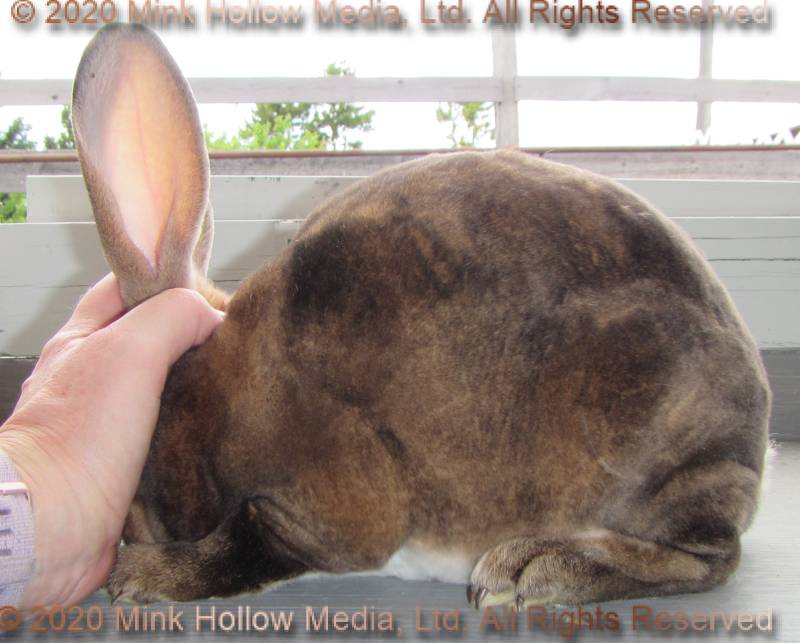 0-main.jpg 0-main.jpg