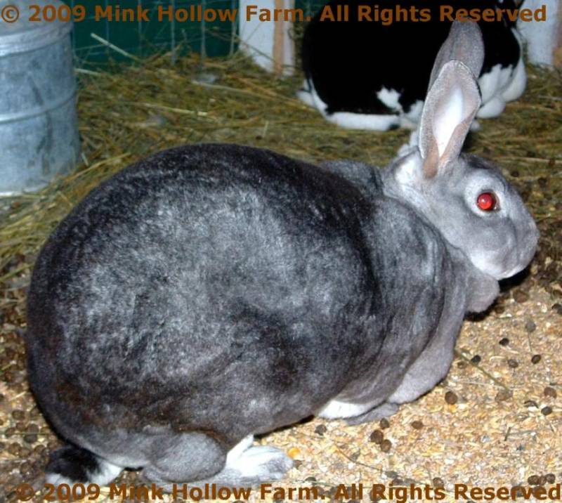 louise-28-02-04.jpg louise-28-02-04.jpg