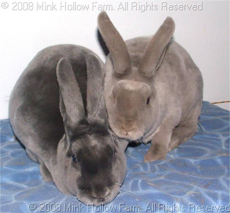 2008-10-28-021.jpg 2008-10-28-021.jpg