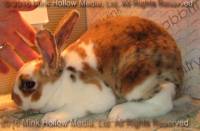 ycb2-2016-04-30_18-08-08_wm.jpg