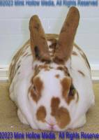 flicker-2023-03-28-14-08-50_wm.jpg