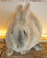 buddy-2019-03-17-16-09-18_wm.jpg