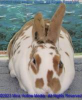 flicker-2023-04-15-18-14-22_wm.jpg