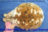 flicker-2023-05-18-15-09-21_wm.jpg