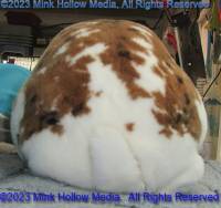 flicker-2023-04-15-18-14-12_wm.jpg